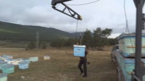 Манипулятор для погрузки ульев.