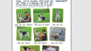 Spotlight 2 Часть 2| Английский в фокусе 2 класс | Стр. 61 (старое издание стр. 137)