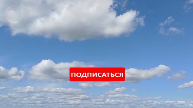 Оказавшись в лесу, девушка стала замерзать. Надеясь на спасение, она пошла на проблеск света и... смотреть онлайн