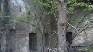 Свентошув. Часть 6