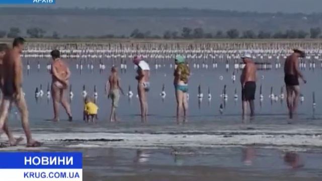Куяльницкий лиман изучает прокуратура смотреть онлайн