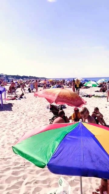 Зеленоградск сегодня, 15.08.2023 смотреть онлайн