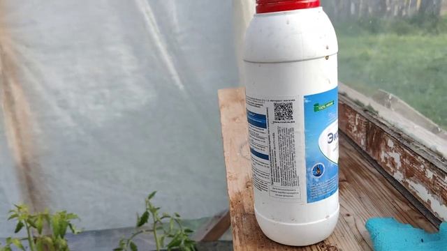 Мороз минус 5.