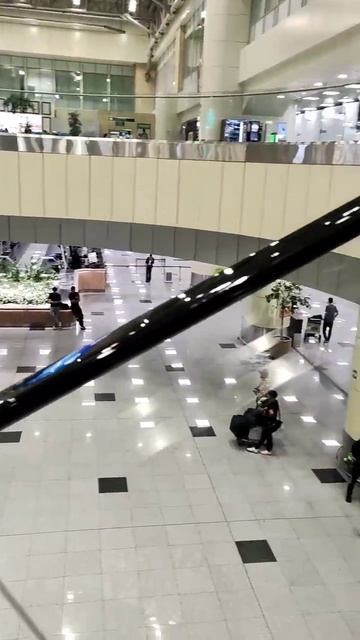 #москва #travel , аэропорт Домодедово смотреть онлайн