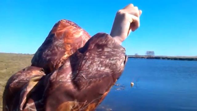 Первый выезд на плотву весной