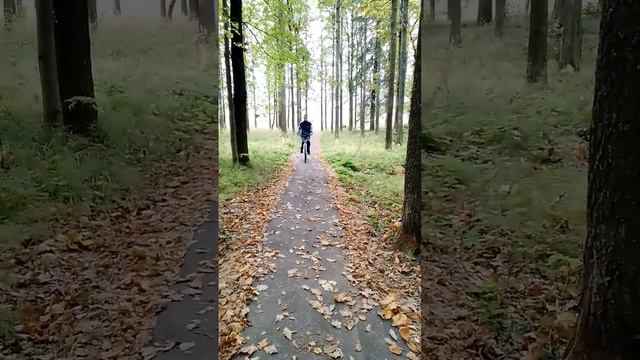 санаторий новодугино отдых и лечение смотреть онлайн