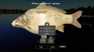 Русская Рыбалка 4 Янтарное Карп 25.04.25