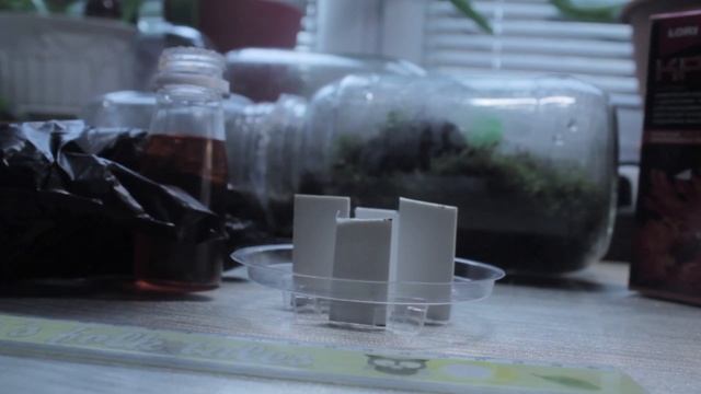 Выращивание Кристаллов!