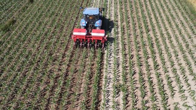 KULTIVACIJA KUKURUZA 2022 смотреть онлайн