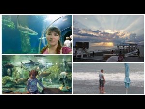 ВЛОГ ОКЕАНАРИУМ АДЛЕРА/НАЧАЛО ШТОРМА/ПЛЯЖ ОГОНЁК