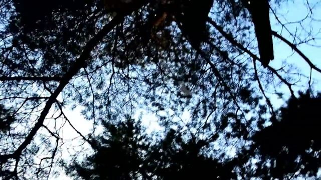 Весёлое лето 2015 смотреть онлайн