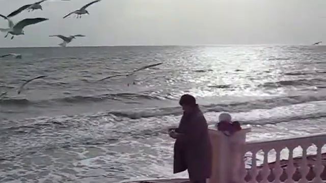 Мое измененное видео смотреть онлайн