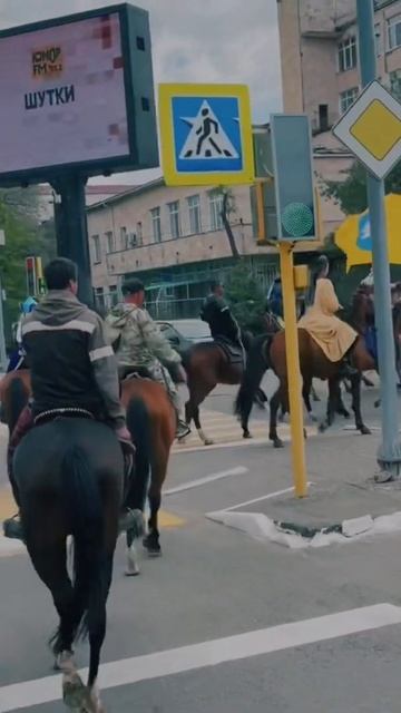 Конный туризм в Калмыкии смотреть онлайн