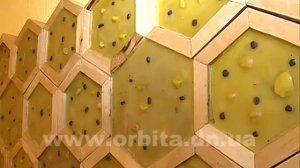 Восковая комната в Покровске (Красноармейске)