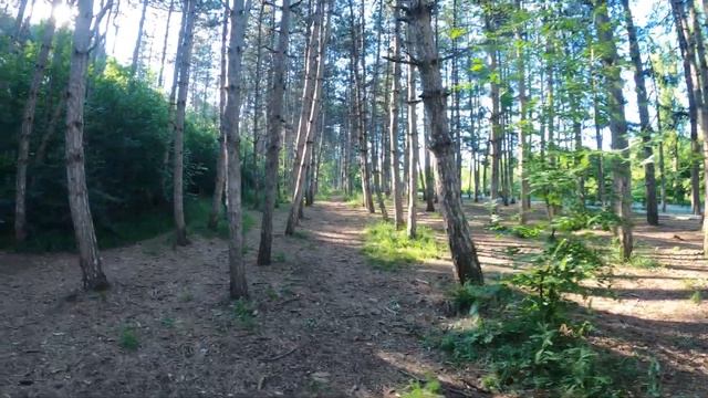 Железноводск,Пятигорск. смотреть онлайн