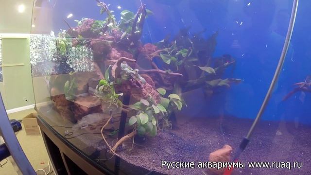 Дневник аквариумиста. Салехард день 5 смотреть онлайн