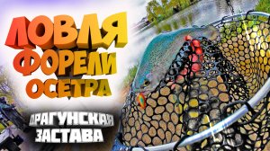 Ловля форели и осетра! Безлимит "Драгунская застава", Обзор водоема!#Fishing26