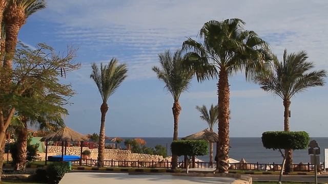 Egypt. Hotel Hilton Sharks bay. Red sea. Sharm el Sheikh. Египет. Красное море. Шарм эль Шейх смотреть онлайн