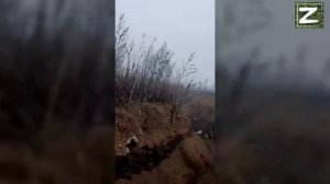 Район Работино...Война без прикрас.