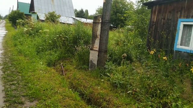 Окучила картошку/Полила теплицу/Прополола и подкормила грядки лука и капусты. смотреть онлайн