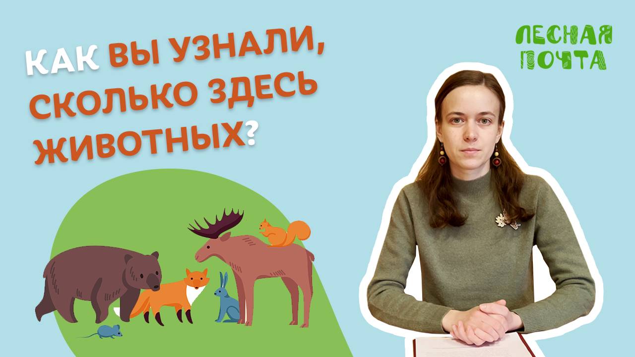 Как вы узнали, сколько здесь животных? Лесная почта Лапландского заповедника смотреть онлайн
