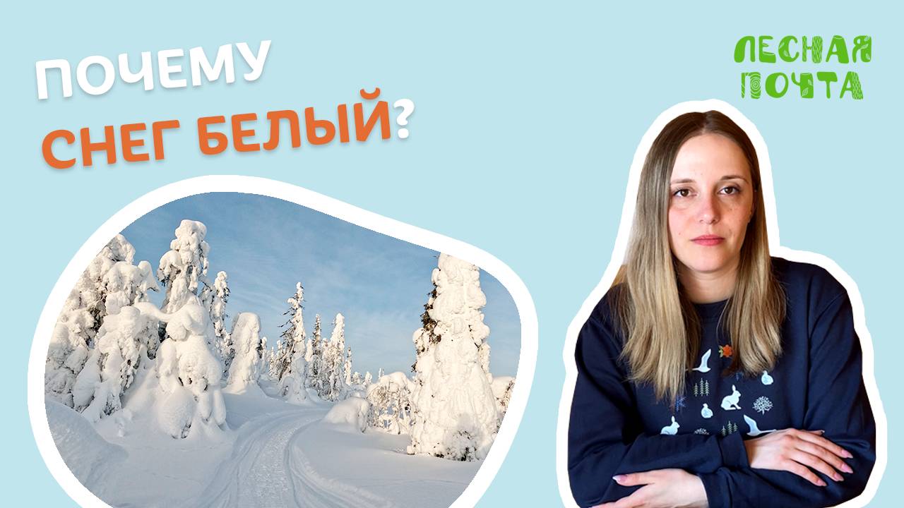 Почему снег белый? Лесная почта Лапландского заповедника смотреть онлайн