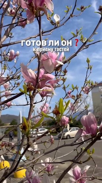 Самый большой отель в Европе и Топ-5 отелей в мире. Бархатные сезоны #сочи #сириус #кивитур #kiwitu смотреть онлайн