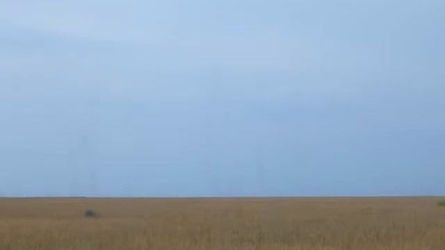 steppe ghosts смотреть онлайн