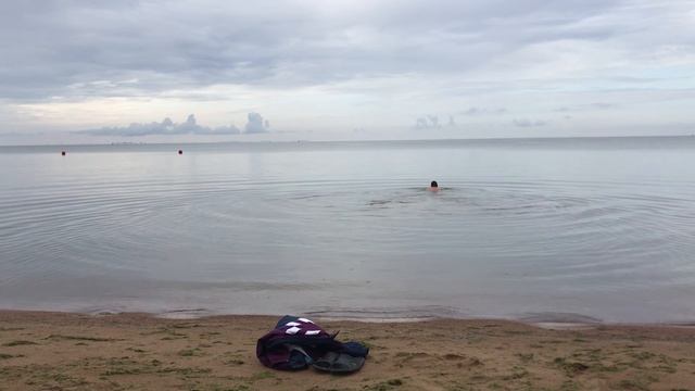 Утренние купание в Финском заливе. В заливе полный штиль и чистая вода. Сестрорецк. Август 2024 г. смотреть онлайн