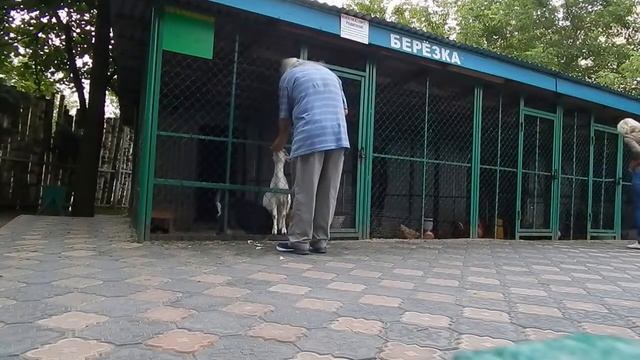 Копия видео "DSCN6445 21 06 2016 Г МУСЯ .....ВЕЧЕРНЕЕ КАФЕ ..." смотреть онлайн