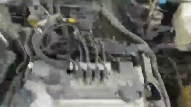 DENOV MOSHINA BOZORI | СУРХОНДАРЁ МОШИНА НАРХЛАРИ | ДЕНОВ МОШИНА НАРХЛАРИ