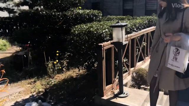 Torivlog/전주브이로그. 고양이,흑임자타르트,한옥마을,팥죽 смотреть онлайн