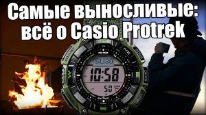 Часы Casio Protrek: сравнение лучших моделей