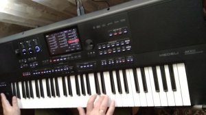 Григорий Лепс_Ну и что_Кавер на синтезаторе Medeli akx 10