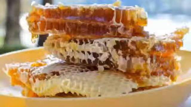 пчелопродукты.радиожурнал пчела 16 тенторитенториум новый продуктпоставит на ноги