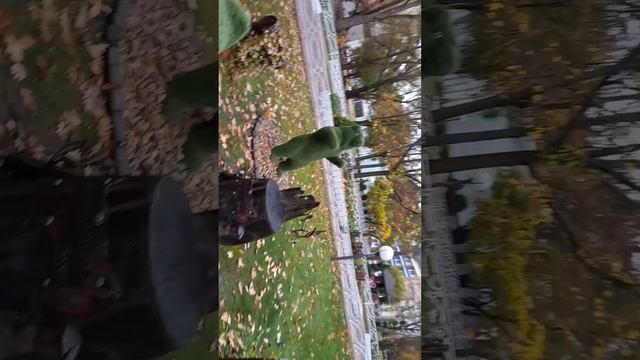 Прогулка по аллеям санатория "Буг". смотреть онлайн