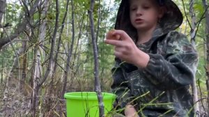 Какие грибы растут на крайнем севере 😃🍄