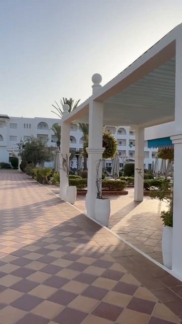 Occidental Marco Polo. Tunis. Tunisia. Tunisie. Hammamet. Good morning. 2023. Тунис. Traveling смотреть онлайн