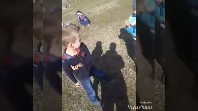 Ингуш против осетин 2016 смотреть онлайн