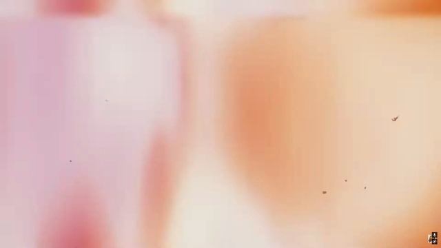 Хаск "Мне все Покер" (Отель хазбин) смотреть онлайн