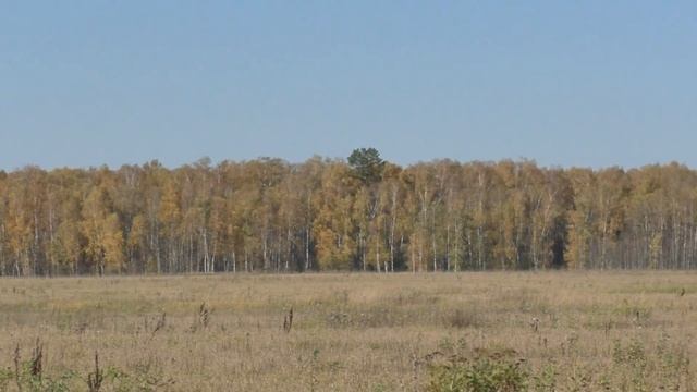 Растуновские просторы (23.10.22) смотреть онлайн