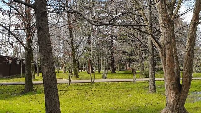 #дельфин | Курортный городок смотреть онлайн