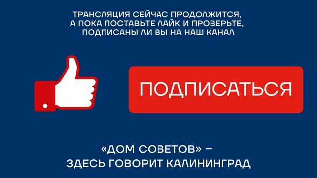 УТД: как проехать через Литву? Соцопросы: каким верить?