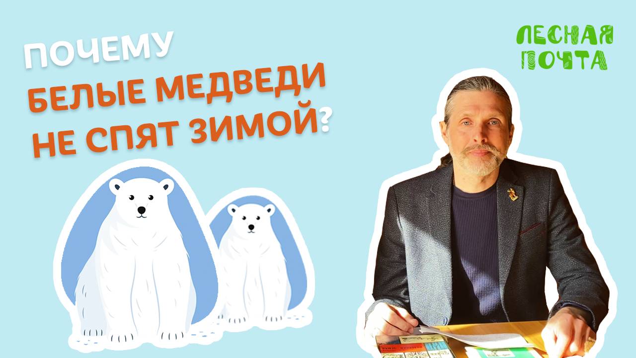 Почему белые медведи не спят зимой? Лесная почта Лапландского заповедника смотреть онлайн
