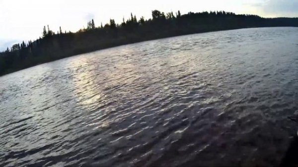 Вечерняя ловля Хариуса на сплетню 👆