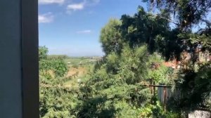 Номер отеля Prenses Sealine Beach 4* в Турции     Prenses Sealine Beach 4* Hotel Room in Turkey