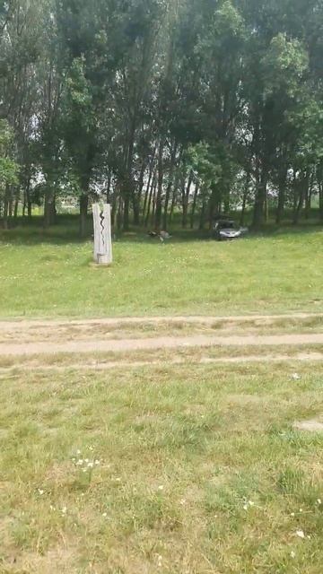 11 июня 2023 г. смотреть онлайн