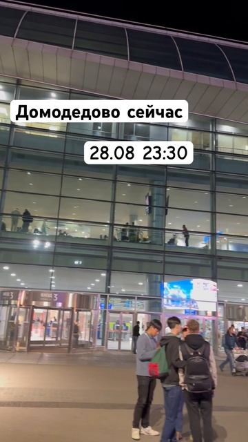 Обстановка в аэропорту прямо сейчас #домодедово смотреть онлайн