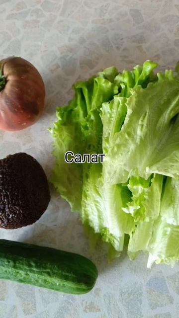 #рецепт #салат #готовимдома #едимдома #авокадо #тунец #ужин #обед #ресторан #реко смотреть онлайн