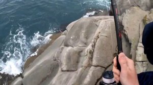 Лакедра на мысе Тобизина 23.06.2024 Владивосток